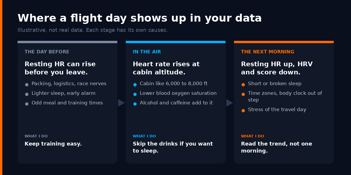 Timeline of a flight day: the day before, stress and packing can lift resting heart rate; in the air, cabin altitude lowers oxygen saturation and raises heart rate, with alcohol and caffeine adding to it; the next morning, short sleep and time zones show up in resting heart rate, HRV and recovery score